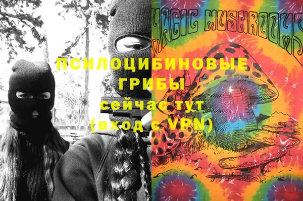 mdpv Арсеньев