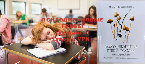 mdpv Арсеньев