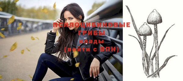 трава Инта