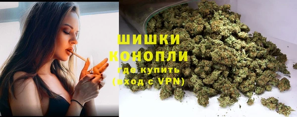 прущие грибы Балахна